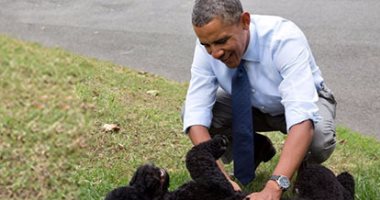 اللعب مع الحيوانات والاحتفال بالهالوين.. حياة "أوباما" على المعاش فى 7 صور