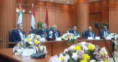 نائب رئيس موانئ دبى: نسعى لرفع المستوى التنافسى لمصر
