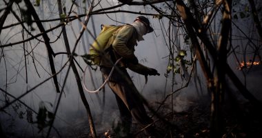 بالصور.. البرازيل تواصل إخماد حرائق الغابات بعد تدمير 35 ألف هكتار