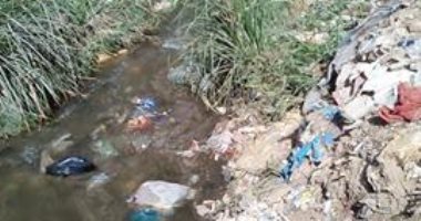 بالصور.. انتشار القمامة والحيوانات النافقة بمصرف شارع مخيمر بالبحيرة