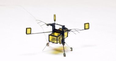 بالفيديو.. RoboBee روبوت صغير جديد يمكنه الطيران والسباحة 