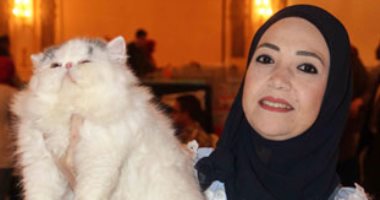 فى حفل تتويج ملك جمال القطط بمصر.. السعر يصل لـ 16ألف جنيه وعدم الزواج شرط