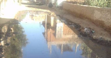 بالصور.. قرية كفر ربيع بالمنوفية تعانى من غرق الشوارع بالمياه الجوفية