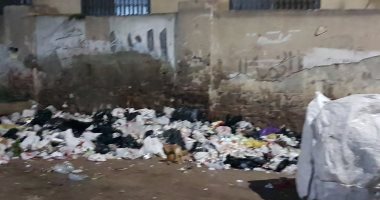 بالفيديو والصور.. تلال القمامة تحاصر "حميات بنها" وتنذر بكارثة بيئية