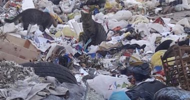 بالصور.. انتشار القمامة فى شارع المقريزى بمصر الجديدة