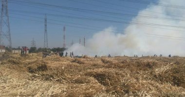 بالصور..حريق 10 أفدنة من البوص بقرية الكوامل بالقرب من جامعة سوهاج الجديدة