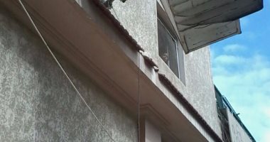 أعمال إنارة بالجمرك وحملة إزالة مكبرة بالمنتزه شرق الإسكندرية