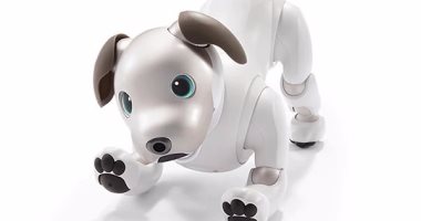 "الكلب الذكى" .. AIBO روبوت أليف يمكنك تربيته فى المنزل 