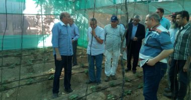 وزير الزراعة يتفقد مشروعات التنمية بوادى الصعايدة بمحافظة أسوان