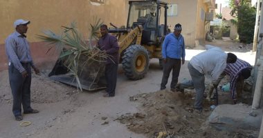 بالصور.. استكمال أعمال النظافة والصيانة فى أحياء الخارجة بالوادى الجديد