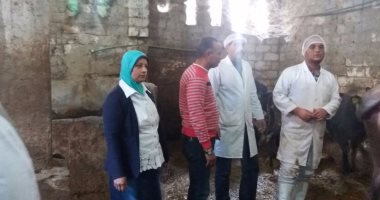 محافظ الإسكندرية: تحصين 157 حالة أبقار و25حالة جاموس بعزبة كرملة