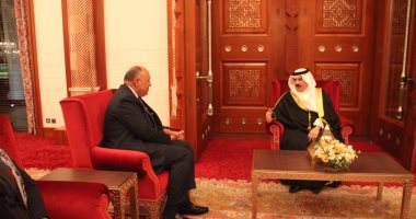 وزير الخارجية يبحث مع ملك البحرين الأوضاع بلبنان..ويؤكد: متضامنون مع المنامة