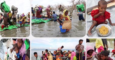  لاجئو الروهينجا يواصلون الفرار من التطهير العرقى فى ميانمار 