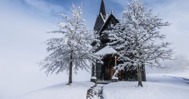صور.. الثلج يغطى أشجار النمسا بعد تساقطه بكثره