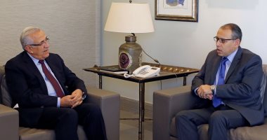 سفير مصر بلبنان يبحث مع الرئيس اللبناني الأسبق أزمة استقالة الحريرى