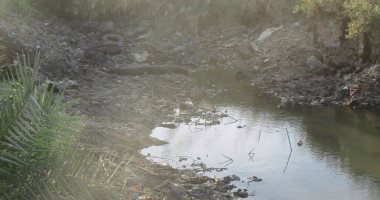 صور .. نقص مياه الري يهدد آلاف الأفدنة الزراعية بالقوصية