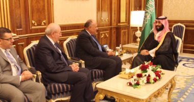 الخارجية: شكرى أكد على دعم مصر الكامل للسعودية وأهمية تعزيز التنسيق العربى