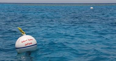صور فى 10 معلومات تعرف على تعليمات محميات البحر الأحمر لعدم