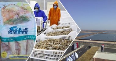 10 معلومات عن بركة غليون.. مشروع الاستزراع السمكى الأكبر بالشرق الأوسط