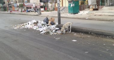 صور وفيديو.. انتشار القمامة بأحياء "6 أكتوبر" وسط تجاهل المسئولين