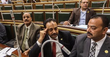النائب أحمد الطحاوى يعترض على إهانة الشعراوى خلال الجلسة العامة للبرلمان (صور)