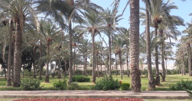 صور.. 10معلومات يجب أن تعرفها عن حدائق المنتزة الملكية بالإسكندرية