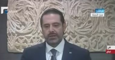 فيديو.. سعد الحريرى: اجتماعى بالرئيس السيسى كان إيجابيا وسأواصل عملى بدءاً من الغد