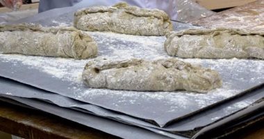 مخبز فنلندى يطرح رغيفا مصنوعا من مسحوق صرصور الليل