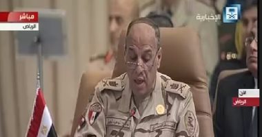 وفد مصر باجتماع الرياض: هناك دول تكرس إعلامها لنشر الفتنة ودعم الإرهاب