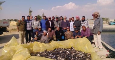 استخراج طن أسماك من أحواض الاستزراع بجنوب سيناء