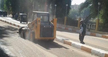 صور .. حملة نظافة ودهان أرصفة وأكشاك كهرباء بمدينة المنشاة