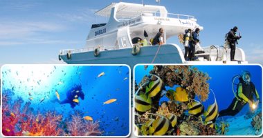 البيئة والسياحة تطلقان برنامج "جرين فينز" لتنظيم أنشطة الغوص فى مصر