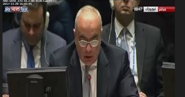 مندوب فلسطين بالأمم المتحدة يشيد بدعم مصر للفلسطينيين خلال فترة عضويتها بمجلس الأمن