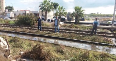 إزالة 15حالة تعدى و إصلاح ماسورة مياه شرب 1000 مل شرق الاسكندرية 