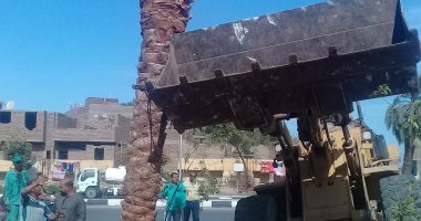 محافظة الأقصر تعلن زراعة 148 نخلة بالحدائق استعداداً للموسم السياحى