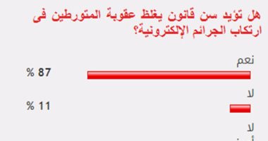 87% من القراء يؤيدون سن قانون يغلظ عقوبة المتورطين فى ارتكاب جرائم إلكترونية