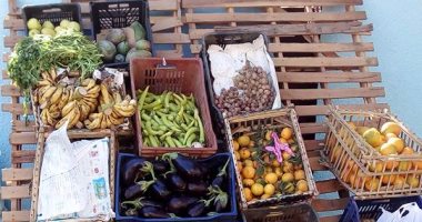 صور.. منافذ بيع للخضروات والفاكهة بأسعار مخفضة للشباب بقرية المعصرة بالداخلة