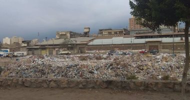 شكوى من تراكم القمامة بجوار كوبرى الحجر فى محافظة الإسكندرية