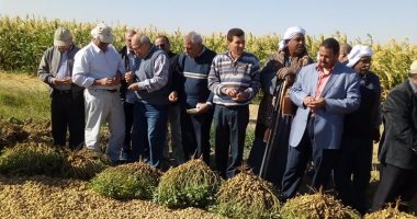 وكيل زراعة الوادى الجديد يتابع بشائر إنتاج الحقول الإرشادية بالمراكز.. صور