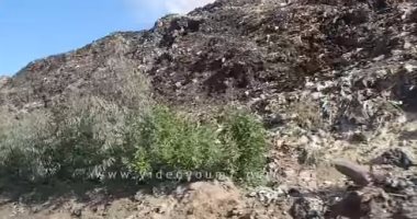 فيديو.. جبال القمامة تحاصر أكبر مصنع سكر بالدقهلية