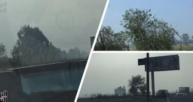 المرور: إغلاق طريق سفاجا - سوهاج الصحراوى بسبب الشبورة الكثيفة