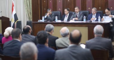 ممثل وزارة الدفاع أمام "صحة البرلمان": مصر تحتاج تنظيم البحوث الطبية