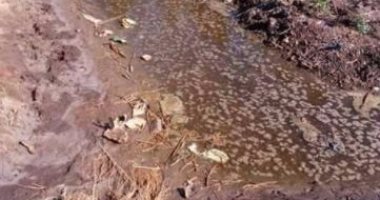 صور.. القمامة والمياه الجوفية تحاصر مقابر قرية السعادة بكفر الشيخ