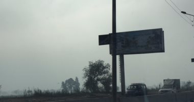 صور.. الشبورة تغطي سماء محافظة الغربية