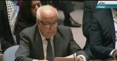 مراقب دولة فلسطين بمجلس الأمن يوجه رسالة بالعربية للفلسطينيين