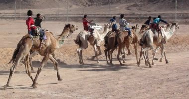 صور.. محافظ جنوب سيناء يشهد انطلاق فعاليات سباق الهجن من مدينة نويبع  