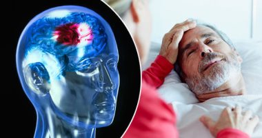 باحثون صينيون: عشبة الجينكوبيلوبا تحسن الذاكرة بعد السكتة الدماغية