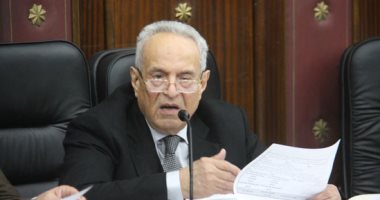 رئيس "دستورية البرلمان" يطالب بالتغيير الشامل للحكومة عقب انتخابات الرئاسة