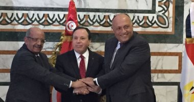 وزراء خارجية مصر وتونس والجزائر يؤكدون رفضهم لأى تدخل خارجى فى ليبيا