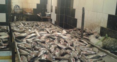 حملة تموينية مكبرة شرق الإسكندرية وتحرير محاضر للمخالفين
